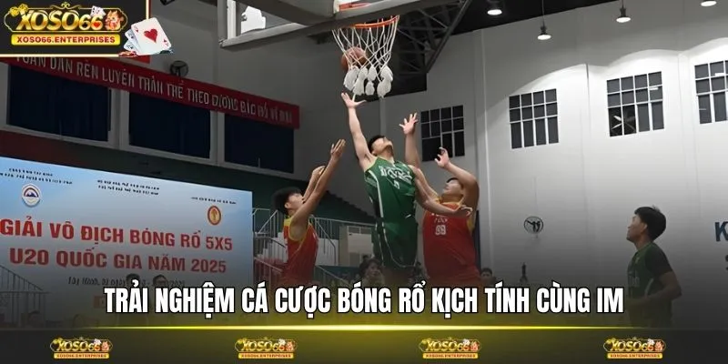  Trải nghiệm cá cược bóng rổ kịch tính cùng IM